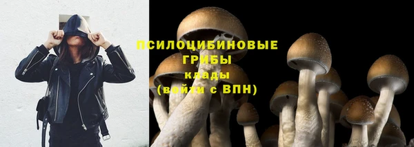 гидропоника Армянск